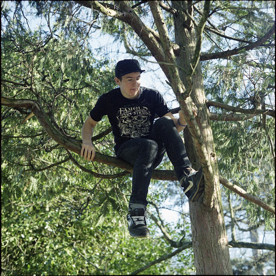 step 1: collect branches