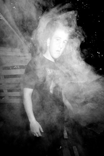 gorilla in the mist
