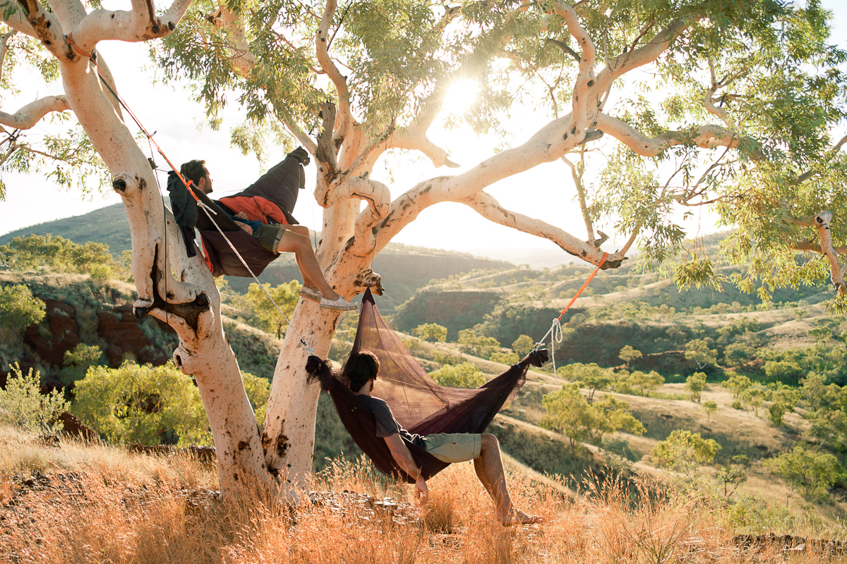 Tree camp, Pilbara