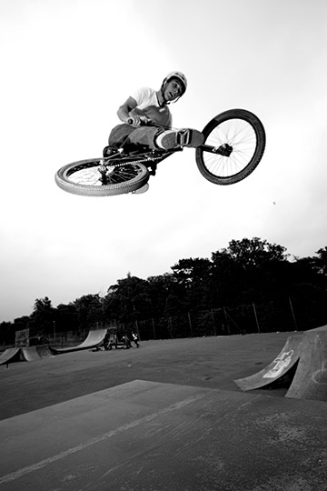 whipout, sham 69 gap