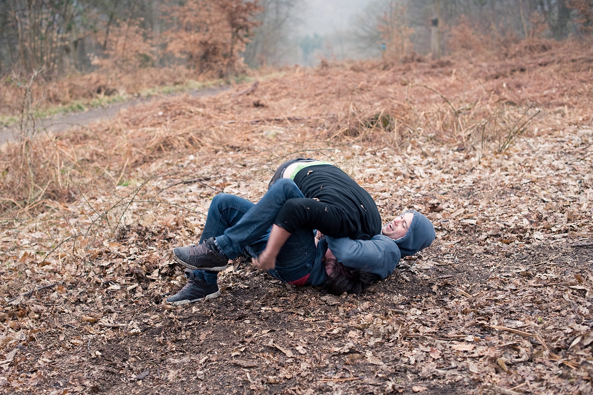 Playfight