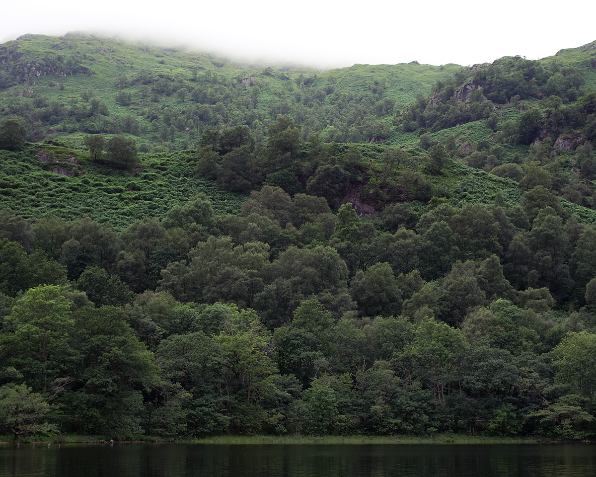 Lochside