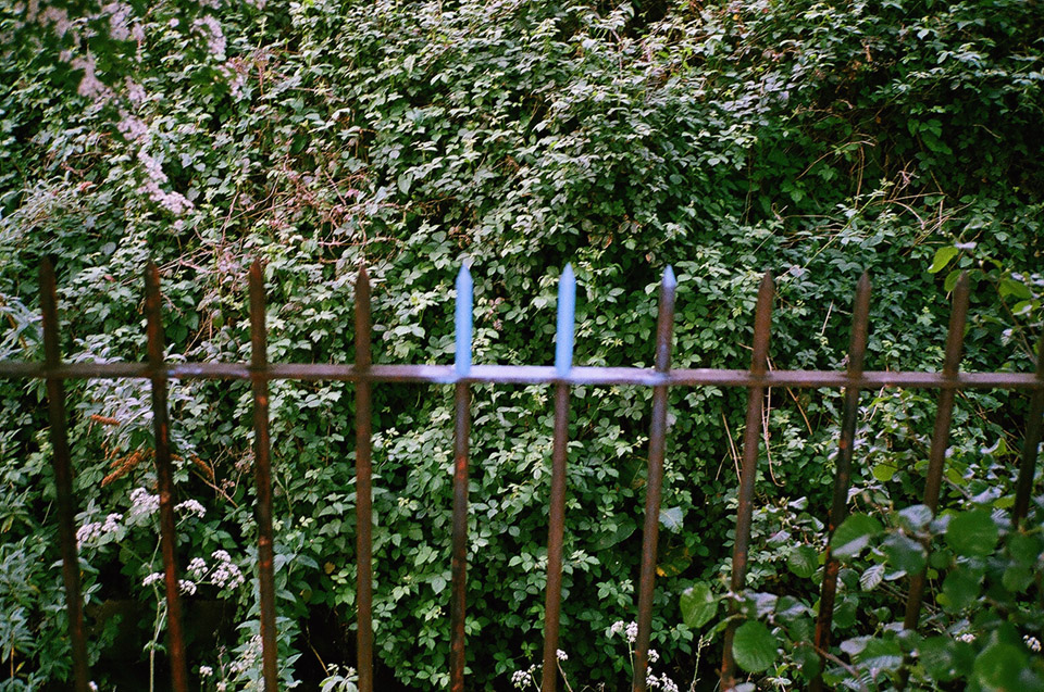 Runoff
