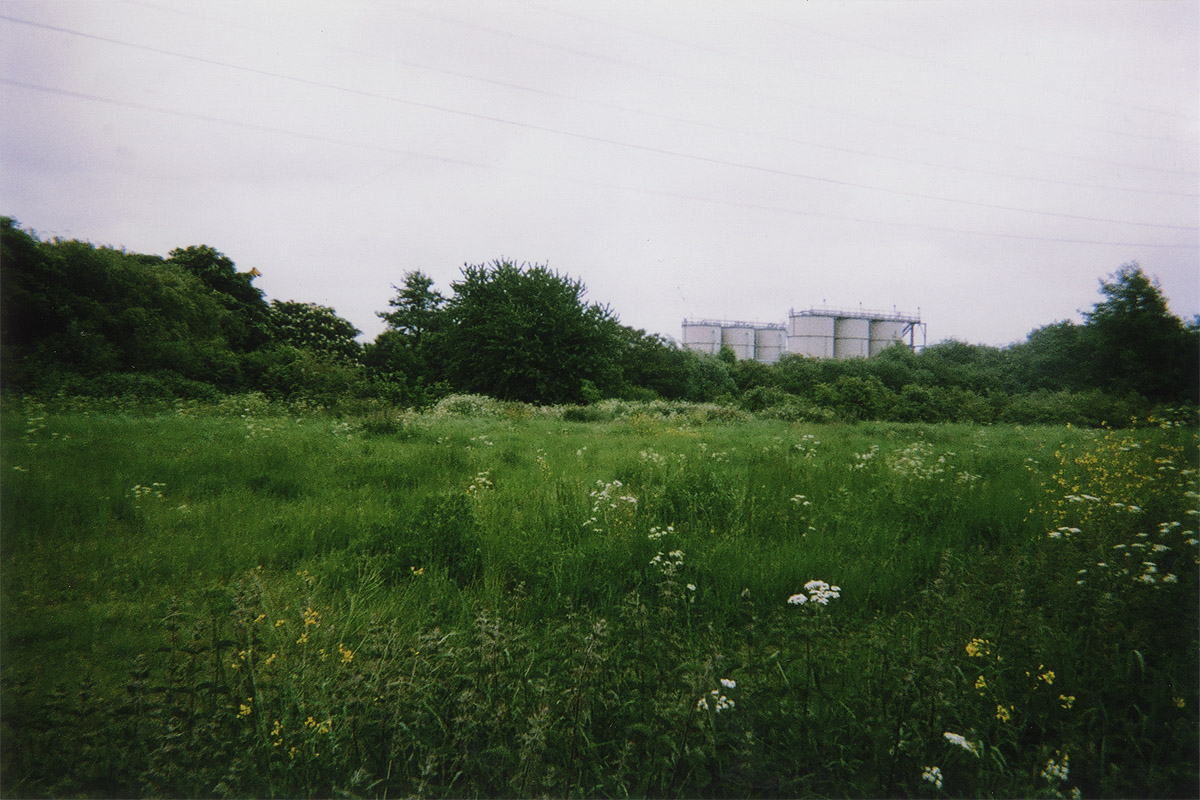 Walthamstow Marshes II